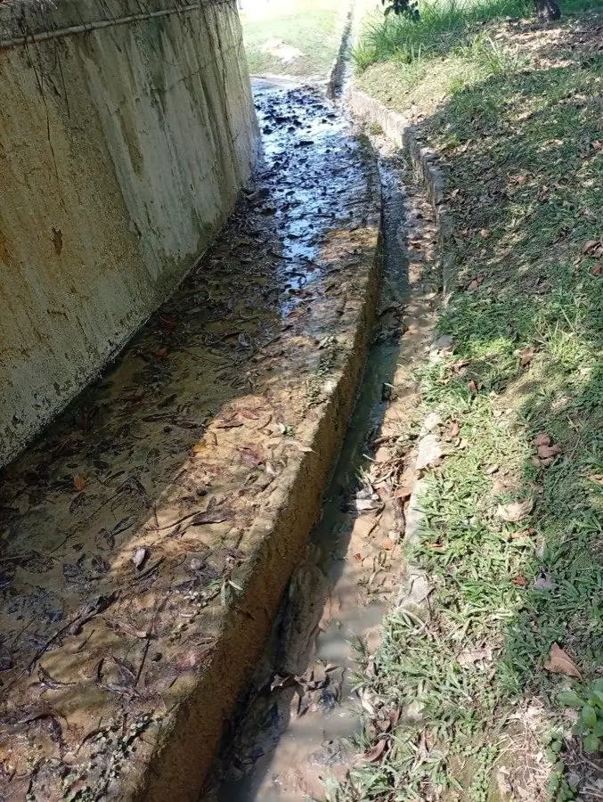 Canal perimetral de drenaje intervenido y despejado tras el mantenimiento vegetal